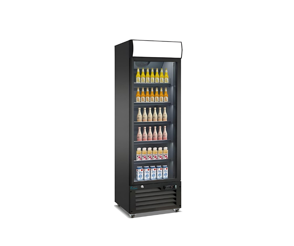 Display glass refrigerator Lumin Coool -25R-G1